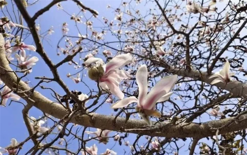 56b44fe231ad3dd98ba1d8268f90d81.jpg 56b44fe231ad3dd98ba1d8268f90d81.jpg