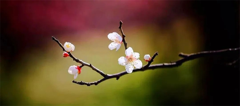 二月的風2.jpg 二月的風2.jpg