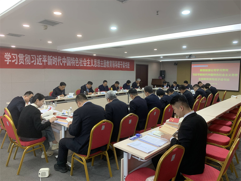 新型能源公司黨委舉辦學習貫徹習近平新時代中國特色社會主義思想主題教育領導班子讀書班