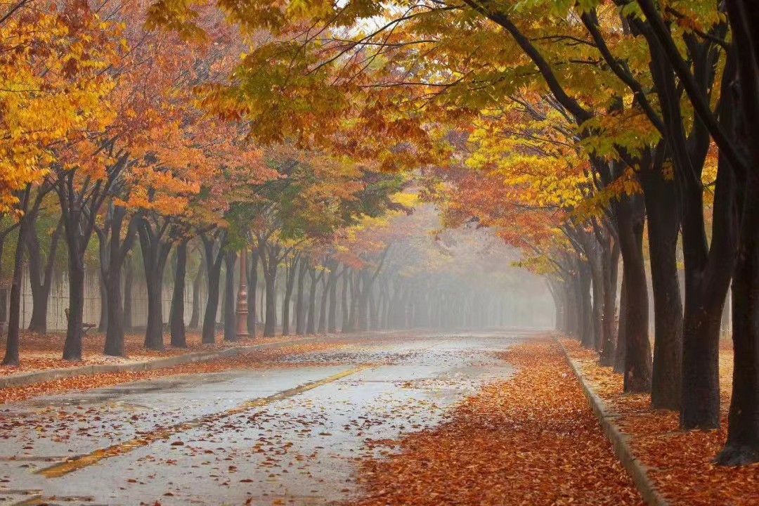 微信圖片_20230919173103_1.jpg 微信圖片_20230919173103_1.jpg